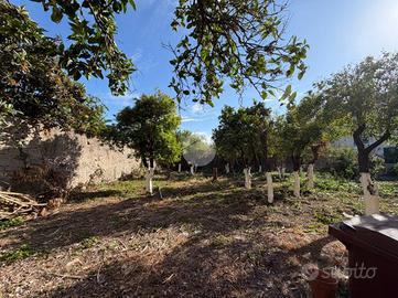 TER. AGRICOLO A TORRE DEL GRECO