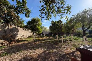 TER. AGRICOLO A TORRE DEL GRECO