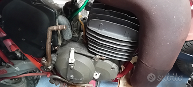 Cr beta 250 da cross