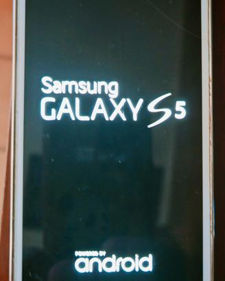 Samsung Galaxy S5 usato