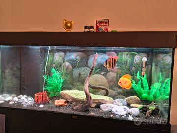 acquario yuwel