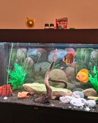 acquario yuwel