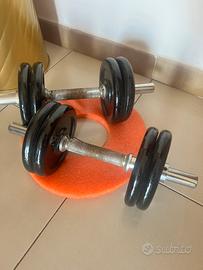 Manubri palestra