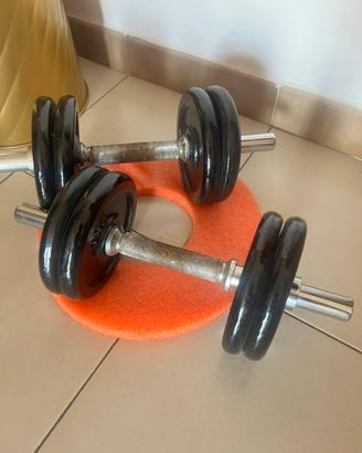 Manubri palestra