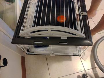 gabbietta criceti conogli