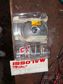 Variatore malossi sh 300