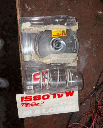 Variatore malossi sh 300