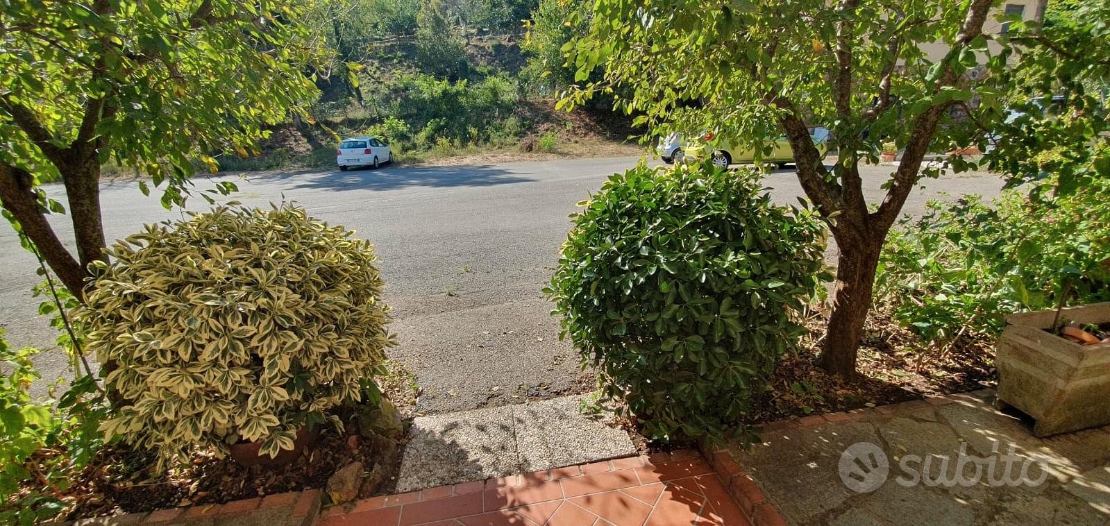 Apartment in Massa Marittima, Grosseto - Vista 3