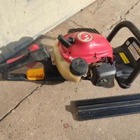 TAGLIA SIEPE A SCOPPIO