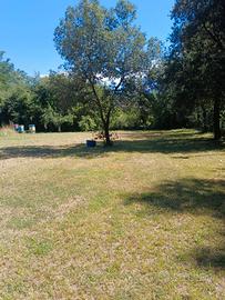 Terreno a Ronchi (Ms) 500 m mare a 5 km da Forte