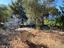 Immagine 26