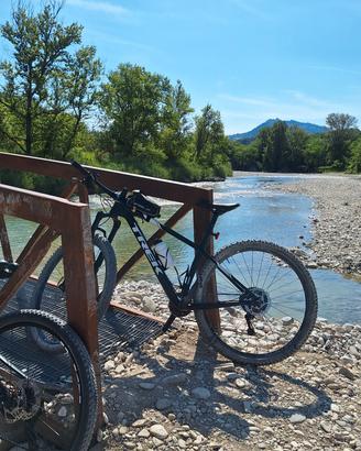 Trek Procaliber 9.6