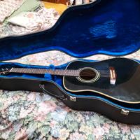 vedo chitarra acustica Ibanez con custodia rigida