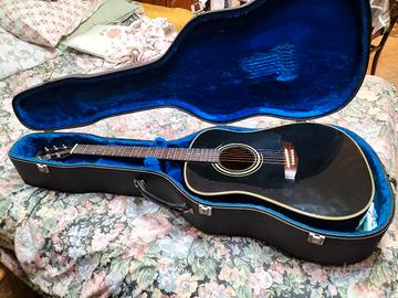 vedo chitarra acustica Ibanez con custodia rigida