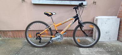 Mountain bike Daytona regina 24 pollici ragazzo