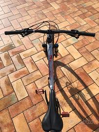 bicicletta