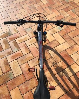 bicicletta