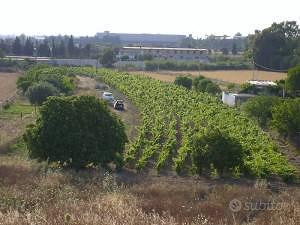 Terreno agricolo pianeggiante vicinissimo ad Elmas