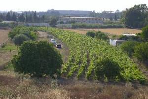 Terreno agricolo pianeggiante vicinissimo ad Elmas