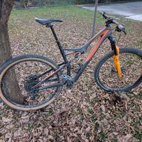 Specialized Stumpjumper  Comp Carbon 29 Tg L