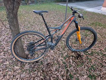 Specialized Stumpjumper  Comp Carbon 29 Tg L