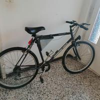 Bicicletta mountain bike