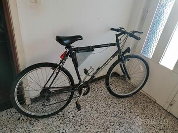 Bicicletta mountain bike