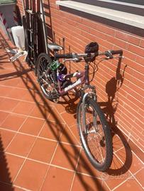 bici mountain bike  leggermente usata