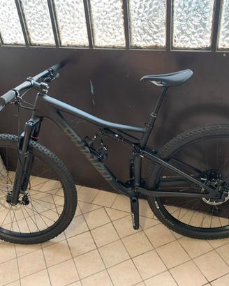 Specialized epic