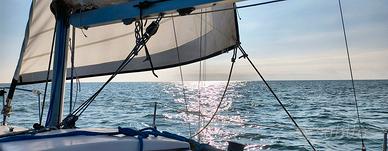 barca a vela cabinato 6 metri pronta all’uso