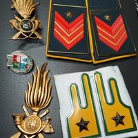 Alamari Fregi Distintivi GdF 