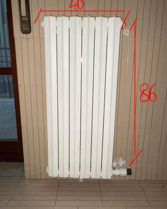 termosifoni in ghisa