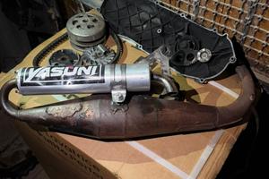 jasuni minarelli verticale