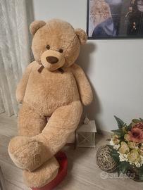 Teddy originale  enorme