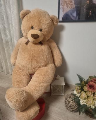 Teddy originale  enorme