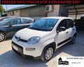 fiat-panda-1-0-gse-s-s-hybrid-street-van-4-posti