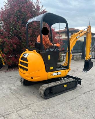E227 - Escavatore 18 q JCB 8018