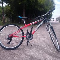 bicicletta MTB bambini 24 ammortizzata 