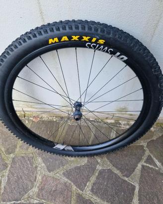 Ruote DT Swiss MTB carbonio