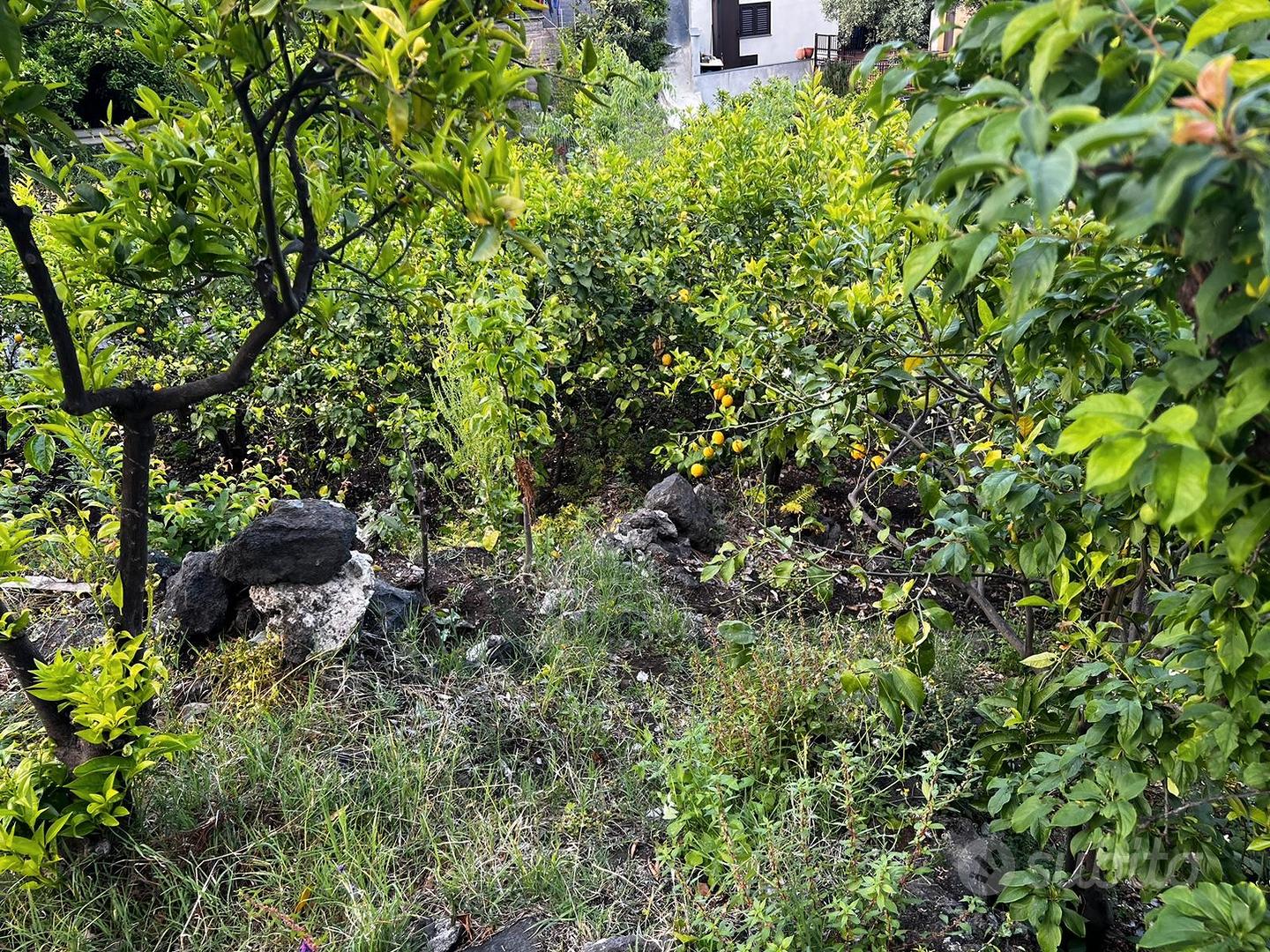 Terreno edificabile - Vista 3
