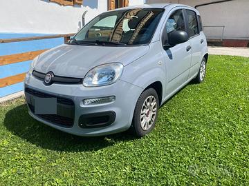 Panda 2019 grigio * IN TRATTATIVA *