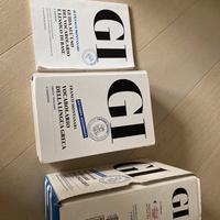 GI Vocabolario di greco dizionario