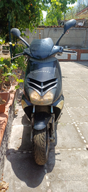 Aprilia leonardo 250