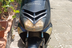 Aprilia leonardo 250