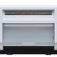 Stampante fotografica Mitsubishi professionale 