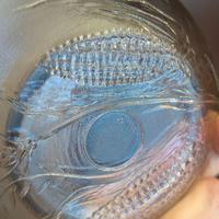 5 ciotole in vetro anni 20, con spighe di grano