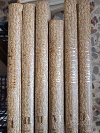 enciclopedia mani d'oro 1966