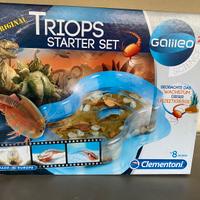 Allevare Triops, piccoli crostacei  in casa