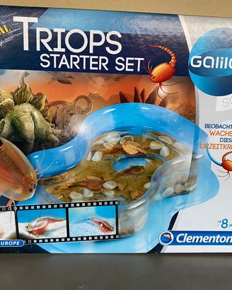Allevare Triops, piccoli crostacei  in casa