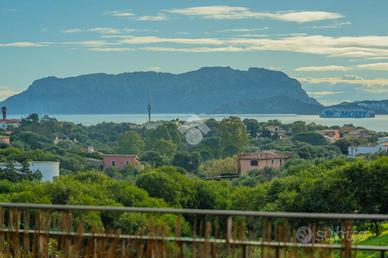 3 LOCALI A OLBIA